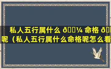 私人五行属什么 🌼 命格 💮 呢（私人五行属什么命格呢怎么看）